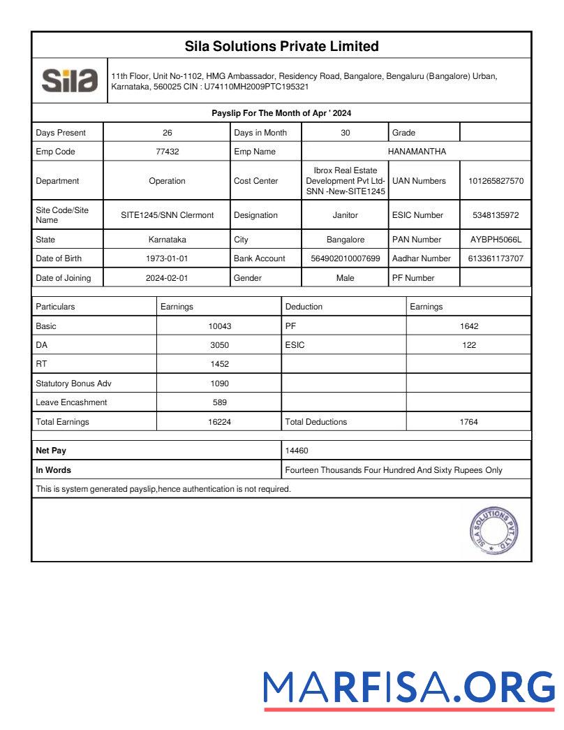 Sila Solutions payslip макет