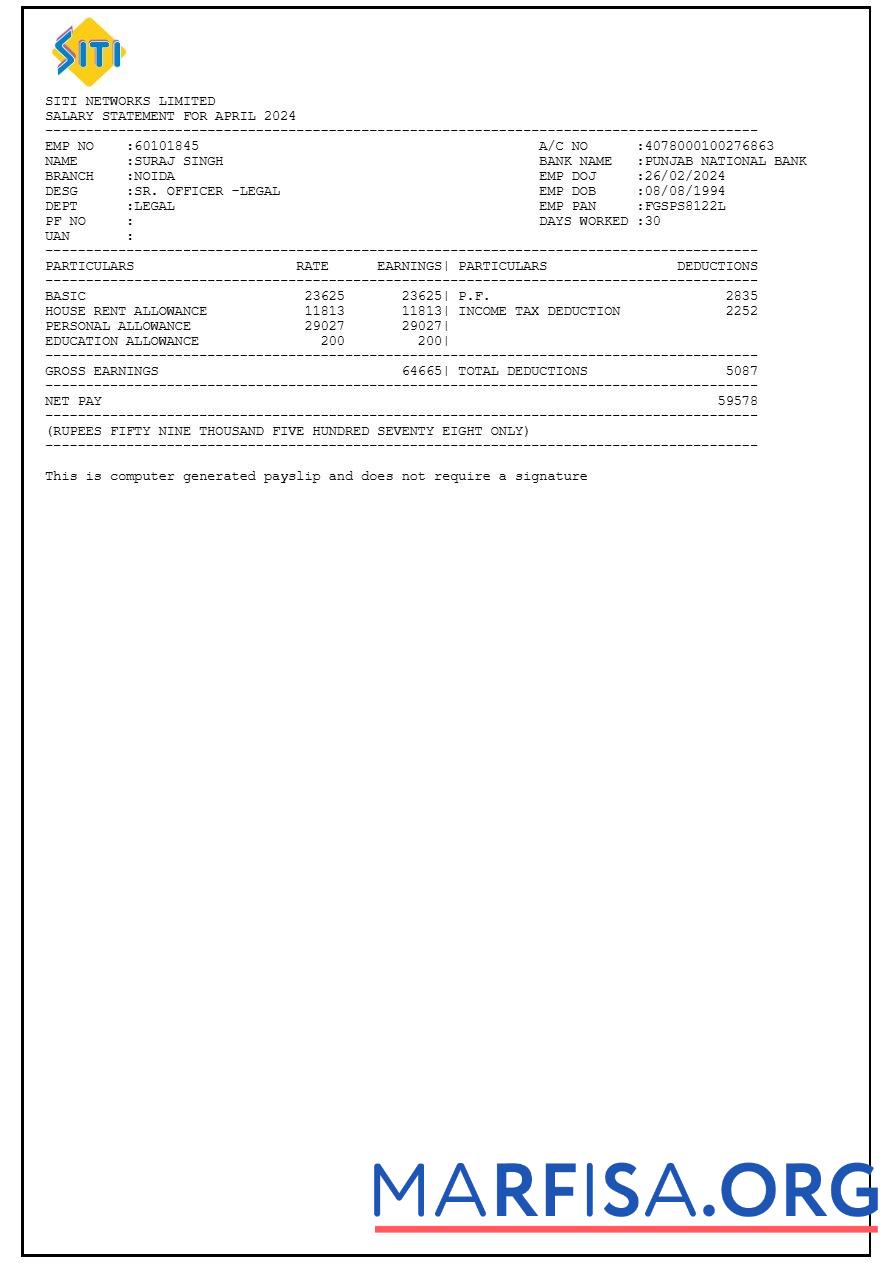 Siti Networks payslip шаблон