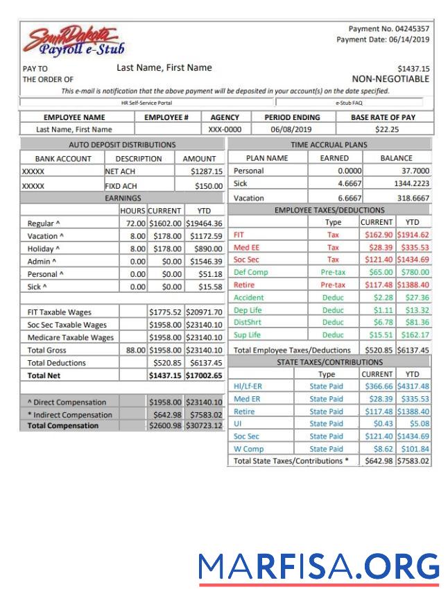 South Dakota payroll e stub макет