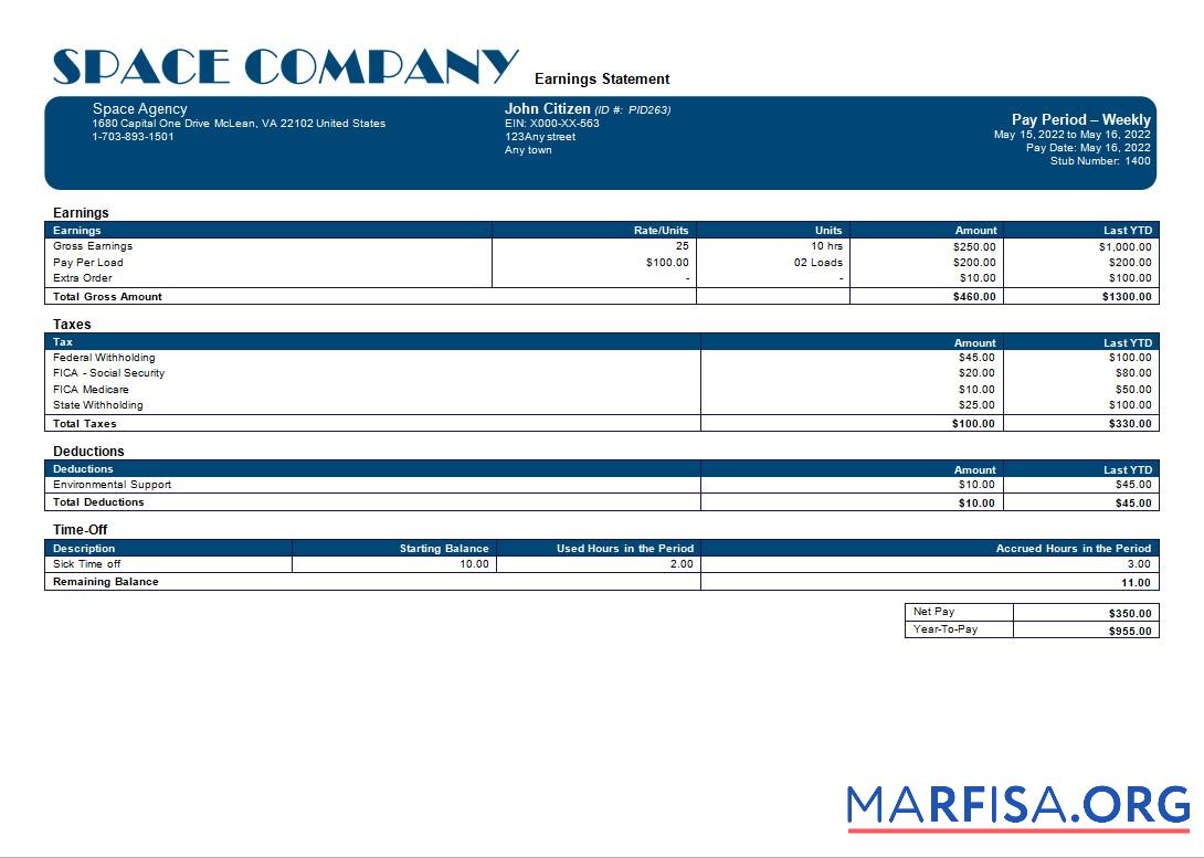 Space Компания Редактируемый payslip образец