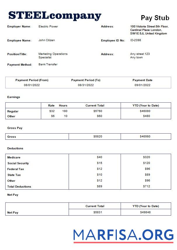 Steel Компания payroll образец