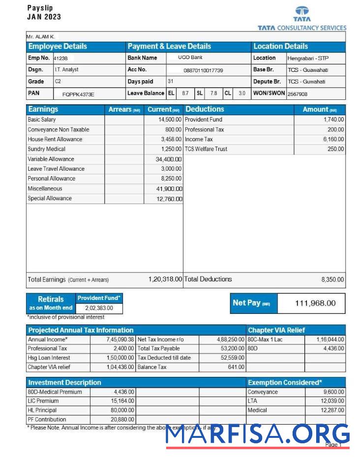 TATA Consultancy Services payslip, Версия 2 образец