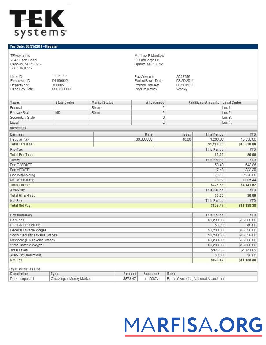 TEKsystems pay stub предпросмотр