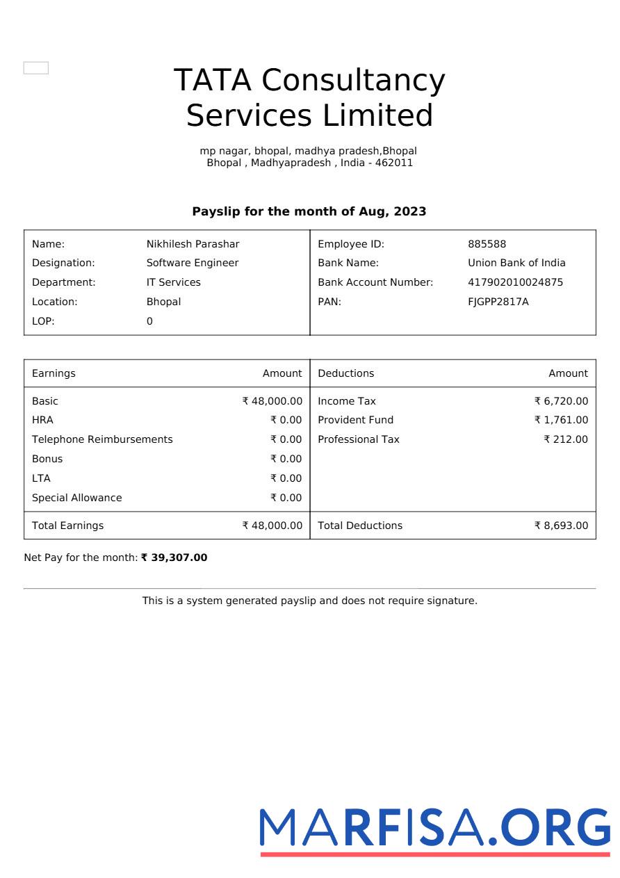 Tata Consultancy Services payslip дизайн