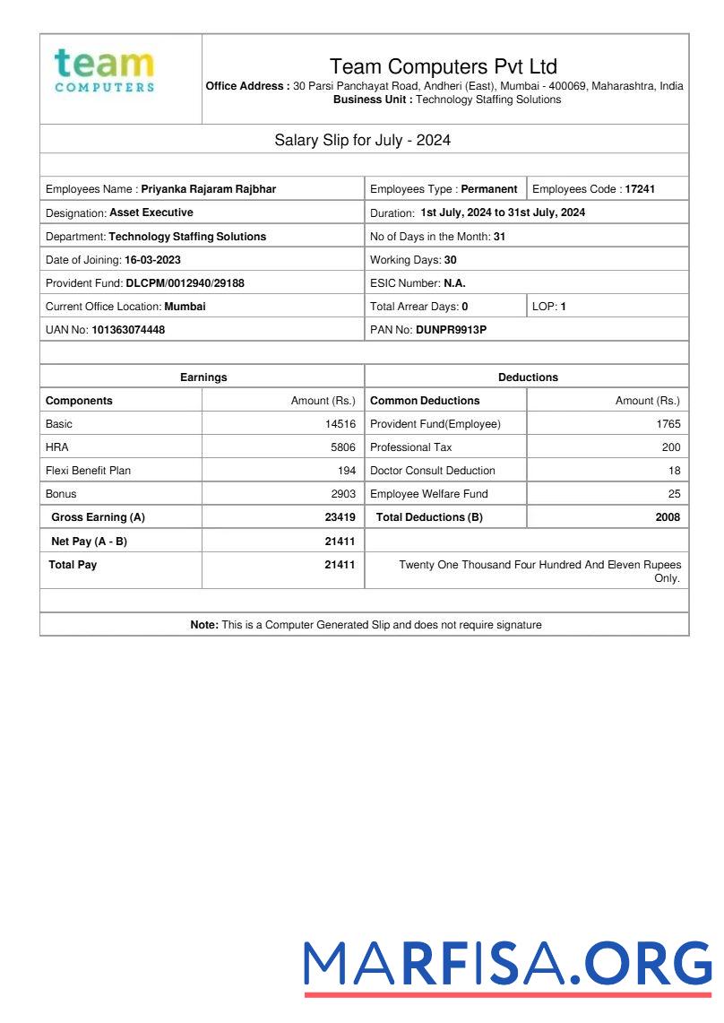 Team Computers salary slip образец