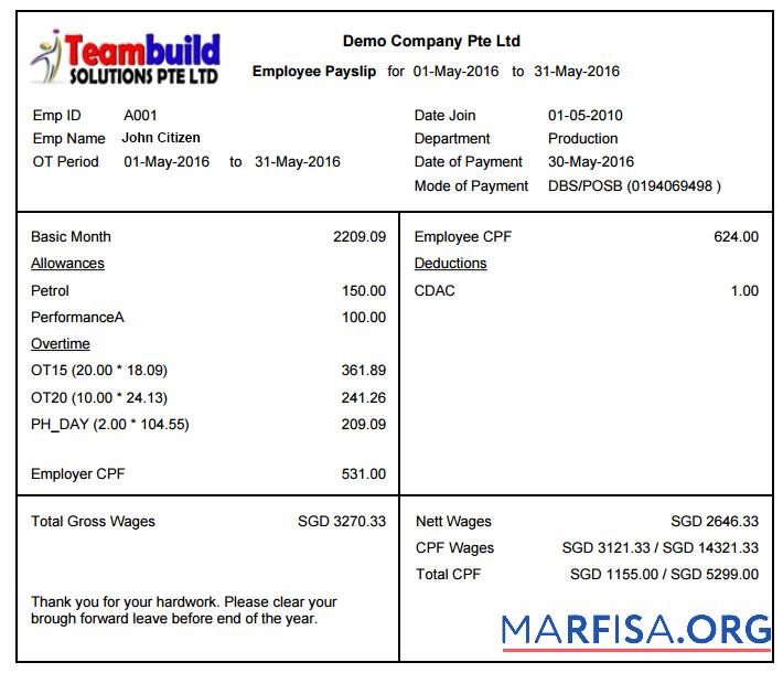 Teambuild solutions Ptr Ltd payslip макет
