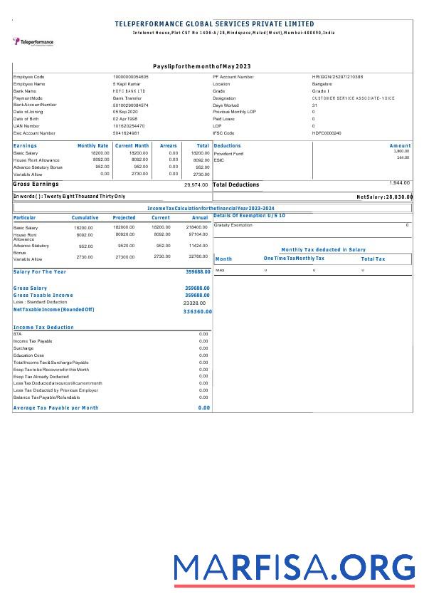 Teleperformance Global Services payslip образец