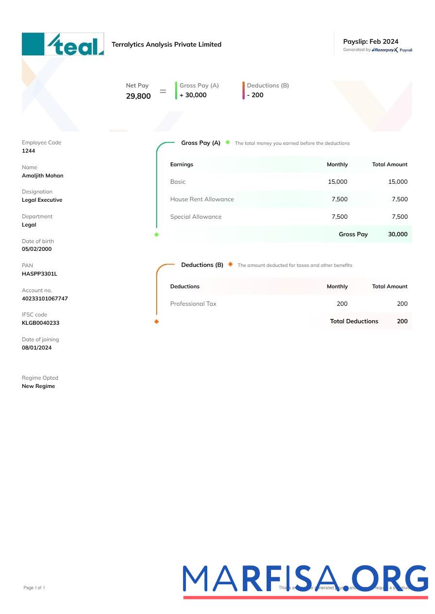Terralytics Анализ payslip шаблон