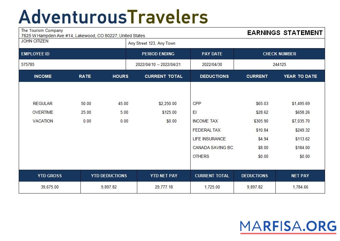Tourism Компания paystub дизайн