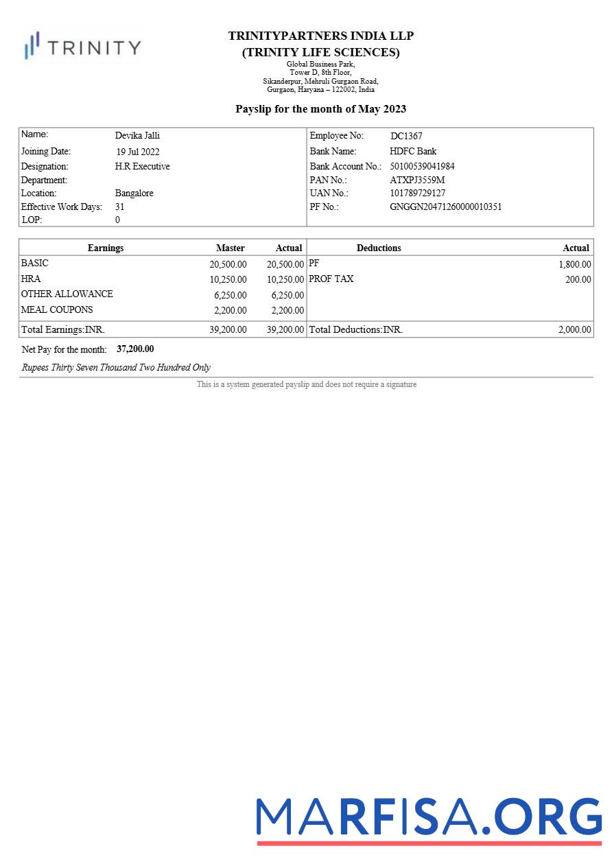 Trinitypartners Индия Настоящий estate payslip макет