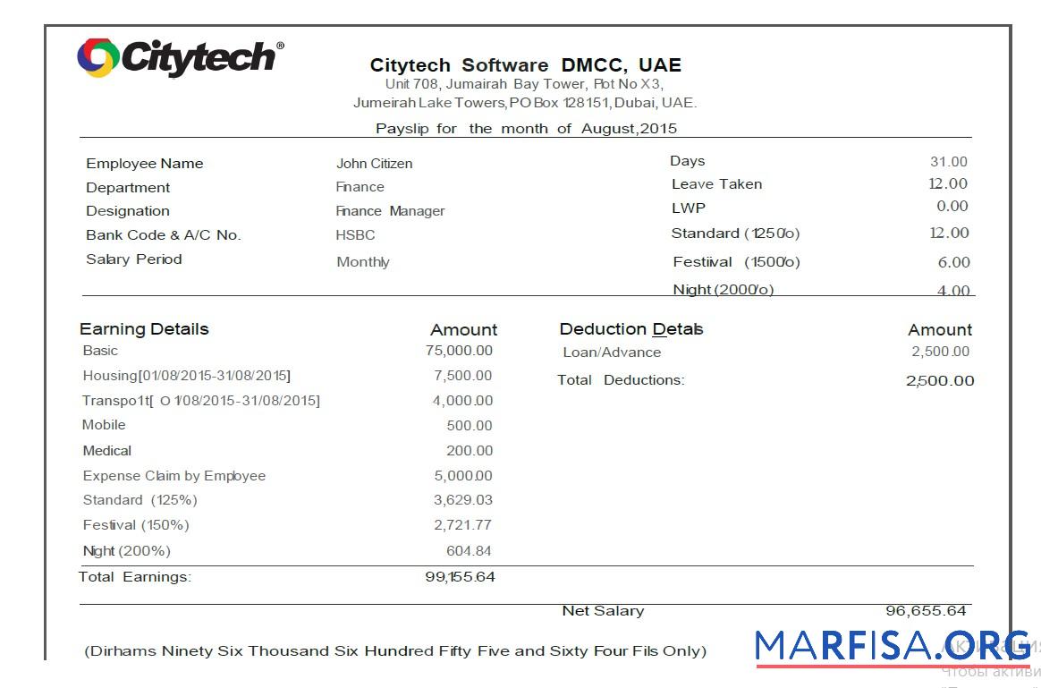 ОАЭ Citytech Программное обеспечение DMCC pay slip шаблон