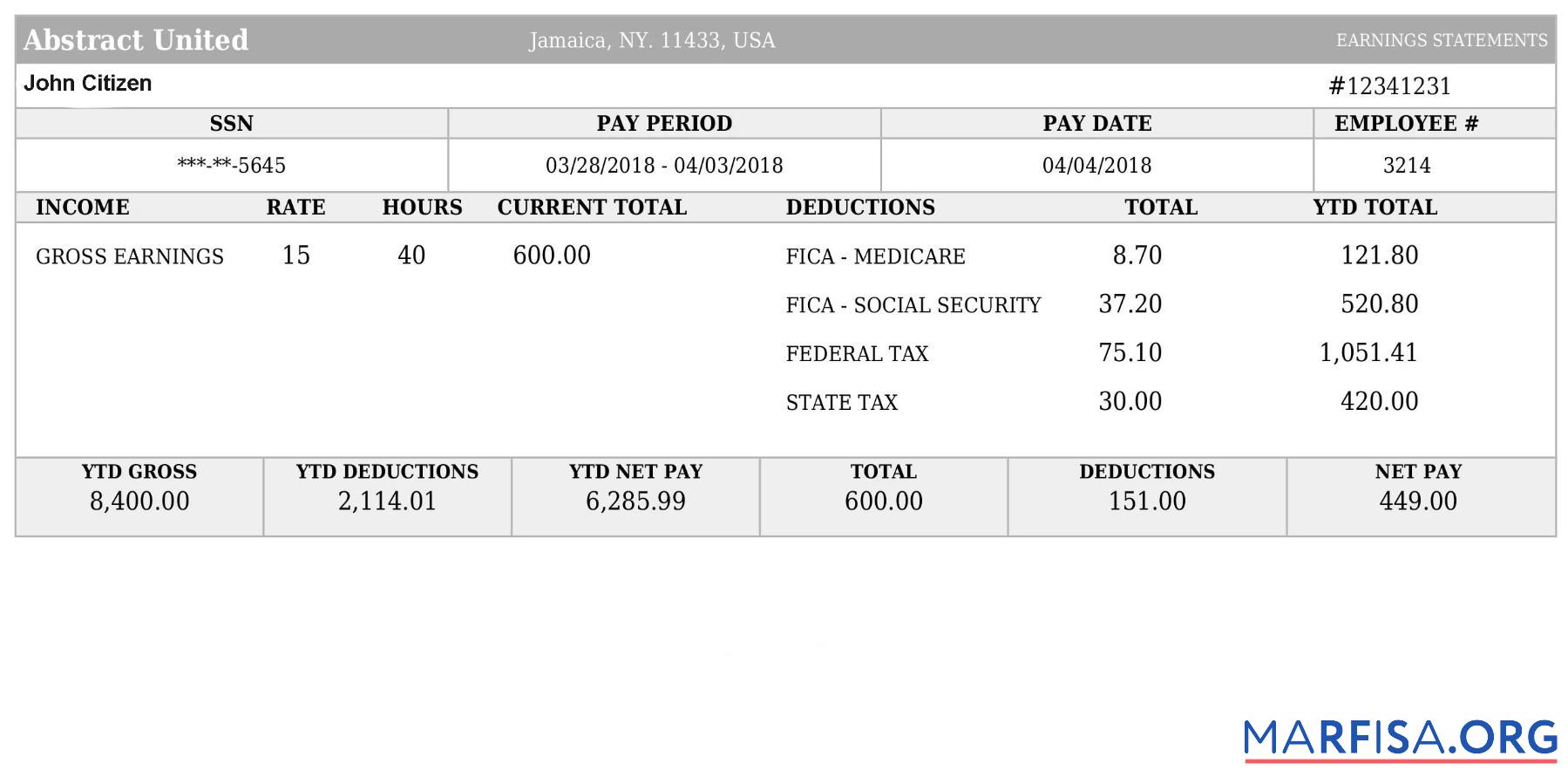 США Abstract united payslip Форматы макет