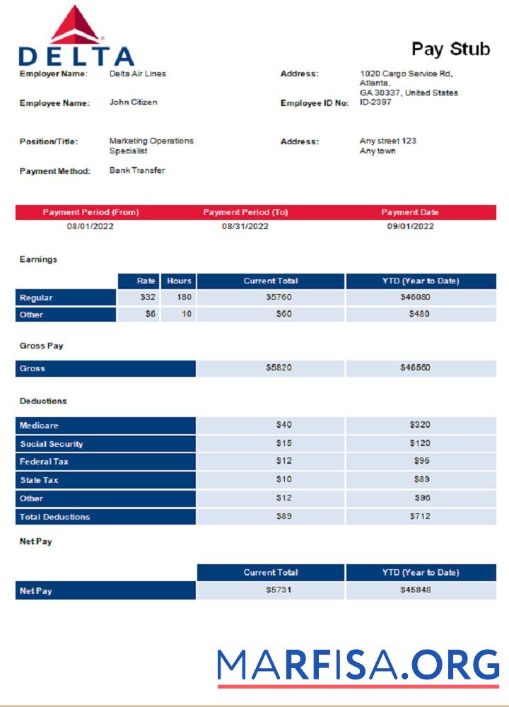 США Delta Air Lines airlines Компания pay stub макет
