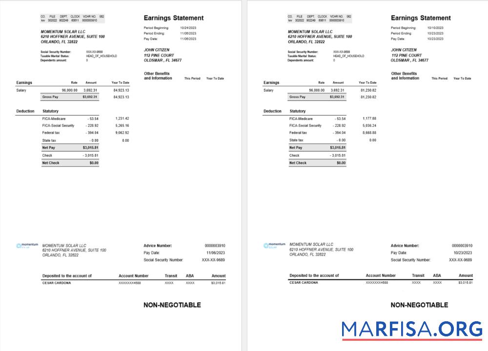 США Florida Momentum Solar LLC paystub дизайн