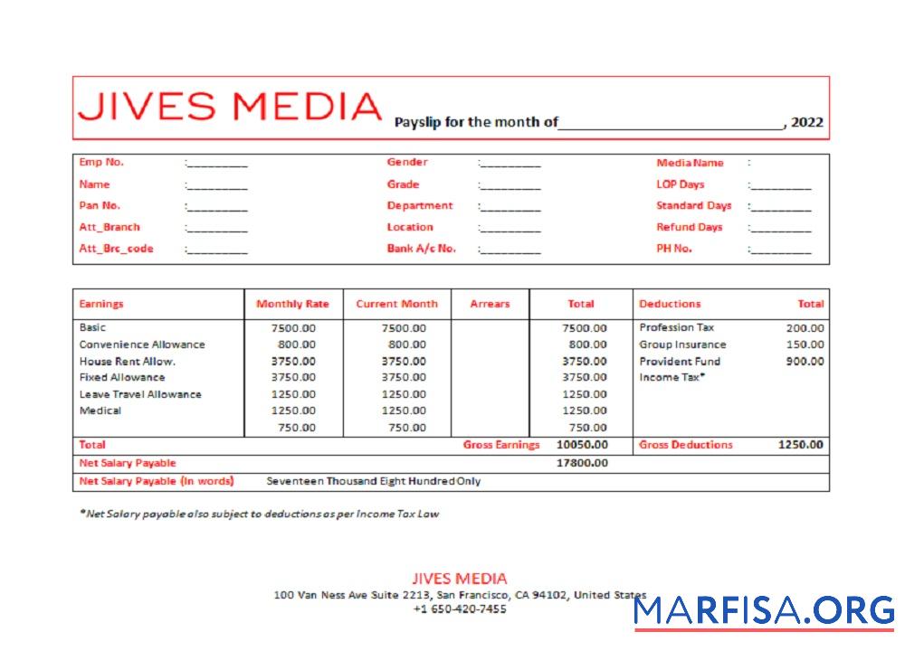 США Jives Media advertising Компания pay stub дизайн