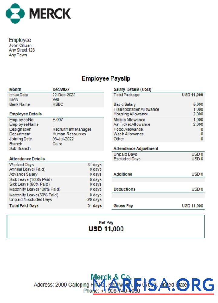 США Merck & Co. pharmaceutical Компания pay stub макет