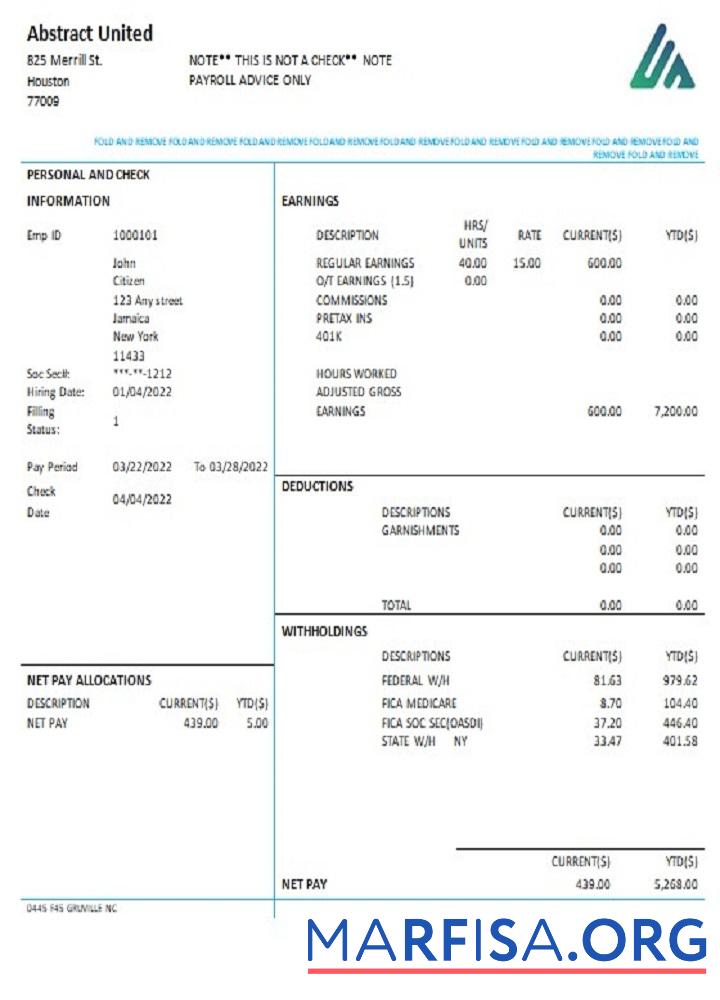 США Новый York Abstract United pay stub предпросмотр