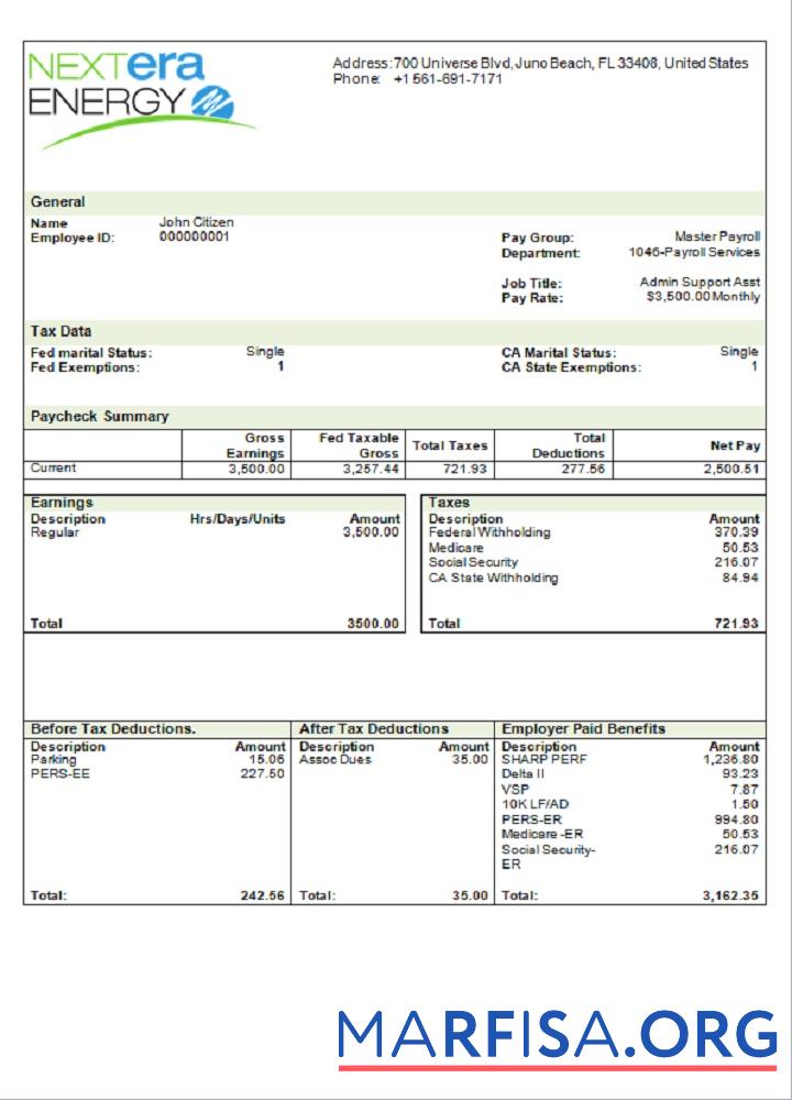 США NextEra Energy electric Компания pay stub макет