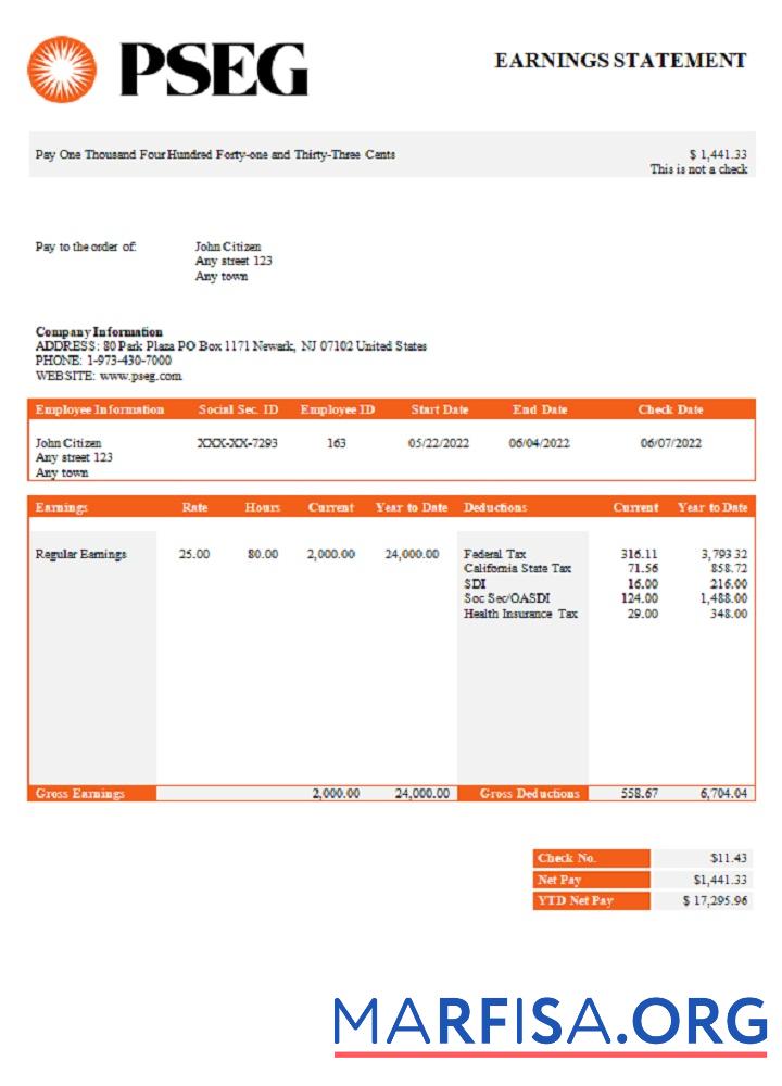 США PSEG utilities Компания pay stub предпросмотр