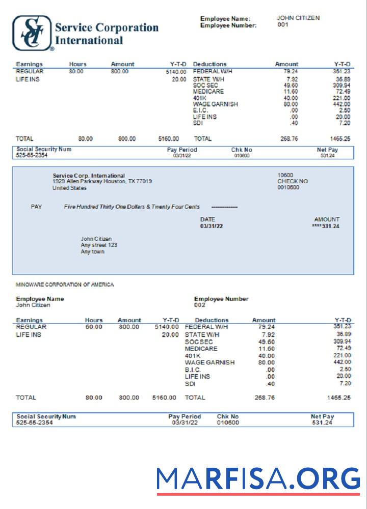 США Услуга Corp. International consumer discretionary Компания pay stub макет