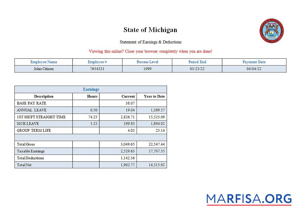 США State of Michigan social services Компания pay stub шаблон