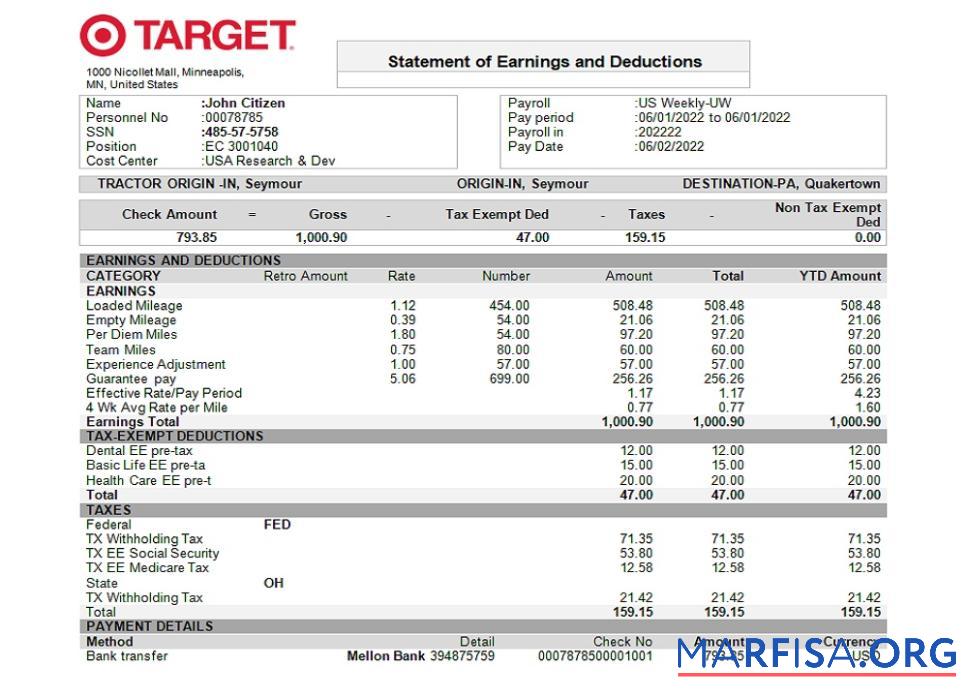 США Target retail Компания pay stub образец