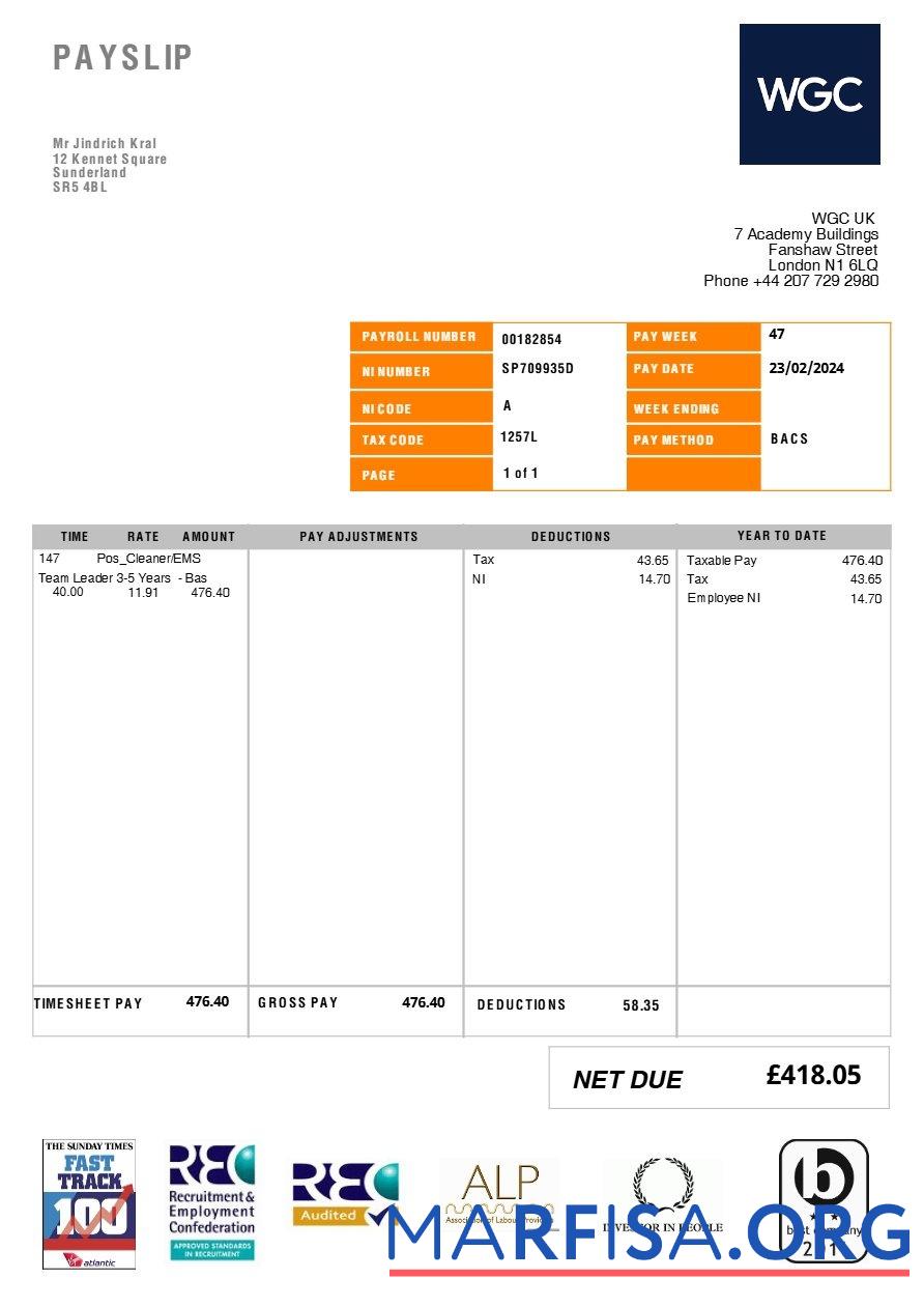 Великобритания WGC cleaning Услуга payslip шаблон