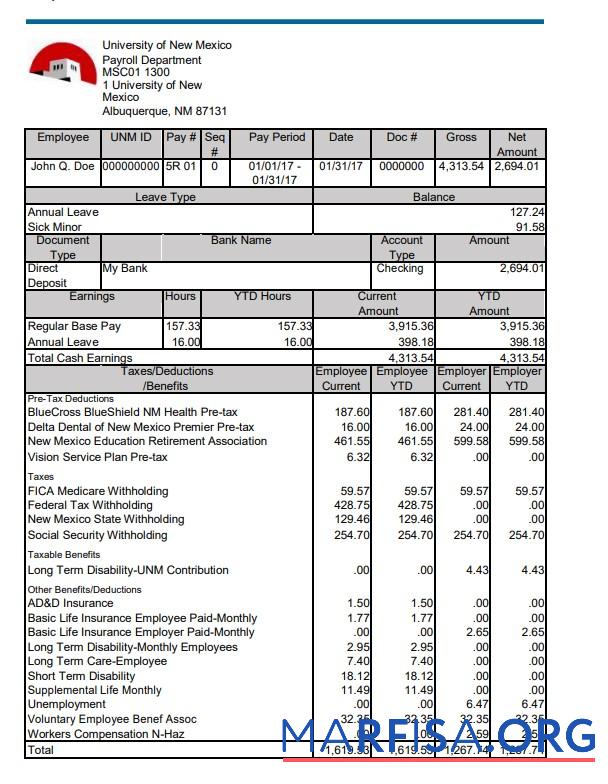 университет of Новый Мексика pay stub дизайн