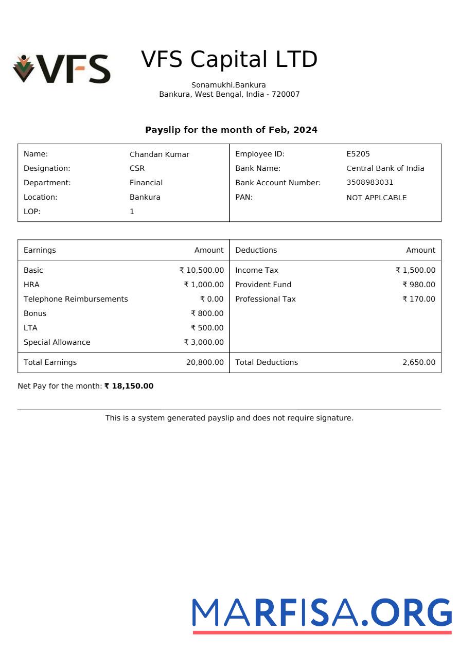 VFS Capital payslip шаблон