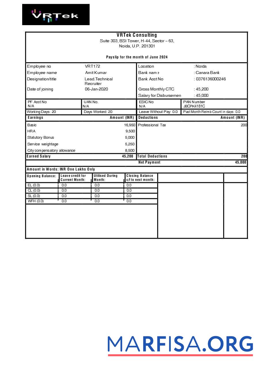 VRTek Consulting payslip образец
