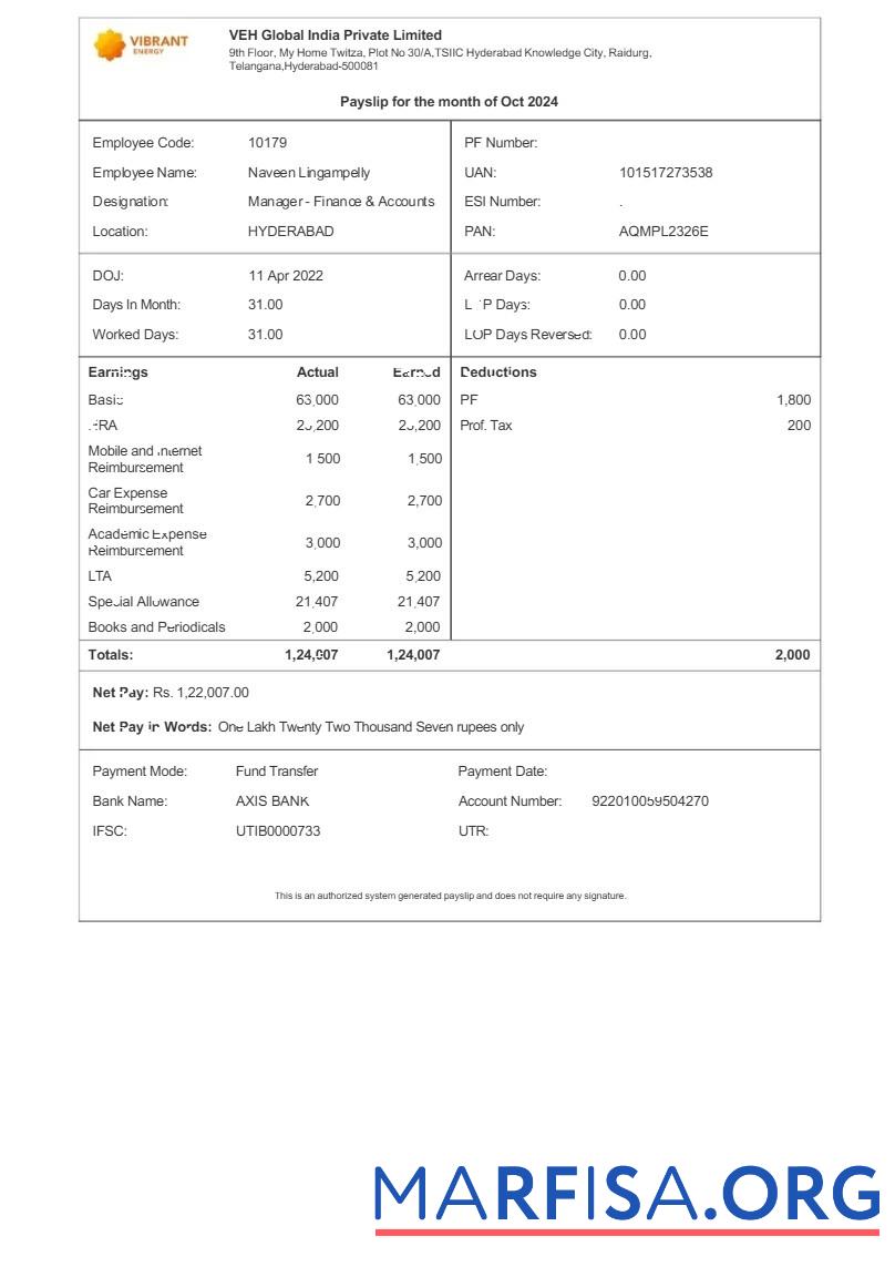 Vibrant Energy VEH Global Индия payslip дизайн
