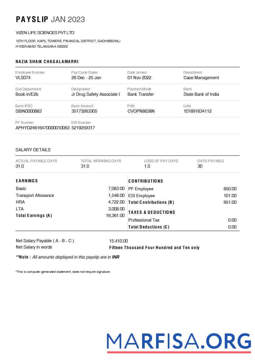Vizen Life Sciences pharmaceutical Компания payslip макет