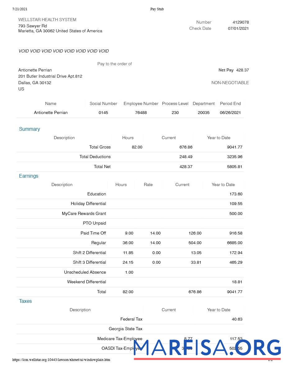 Wellstar Здоровье Система pay stub предпросмотр