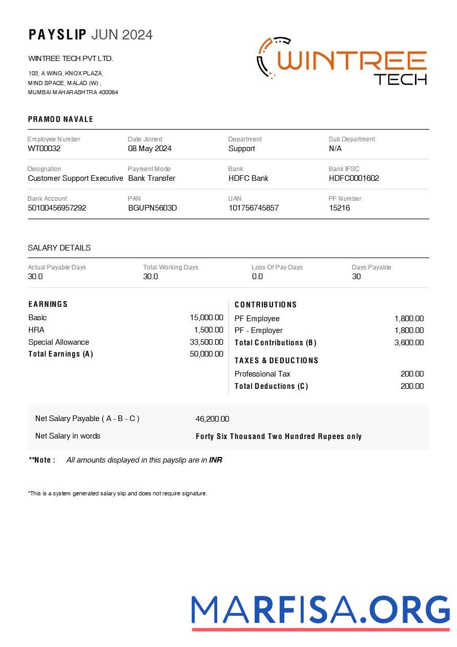 Wintree Tech payslip макет