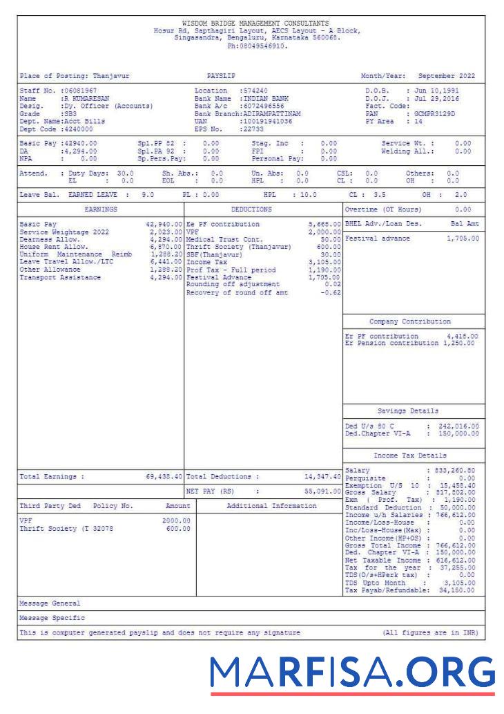 Wisdom Bridge Management Consultants payslip дизайн