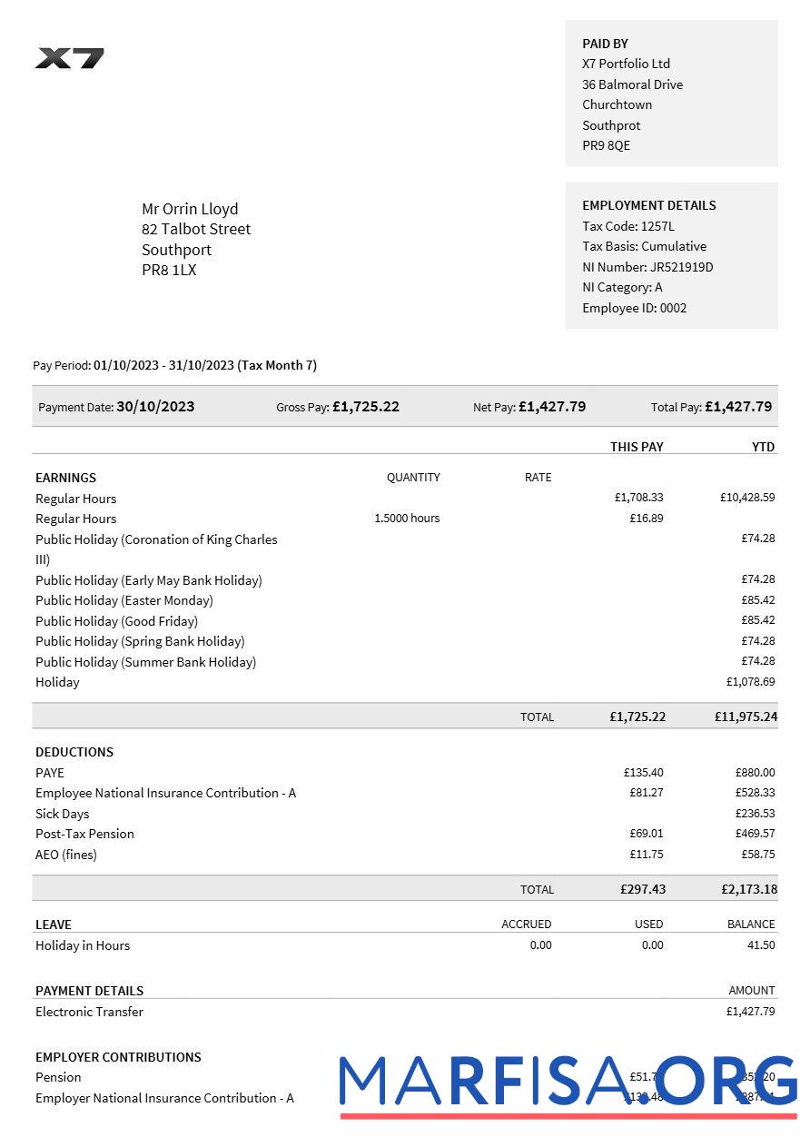 X7 Portfolio payslip дизайн