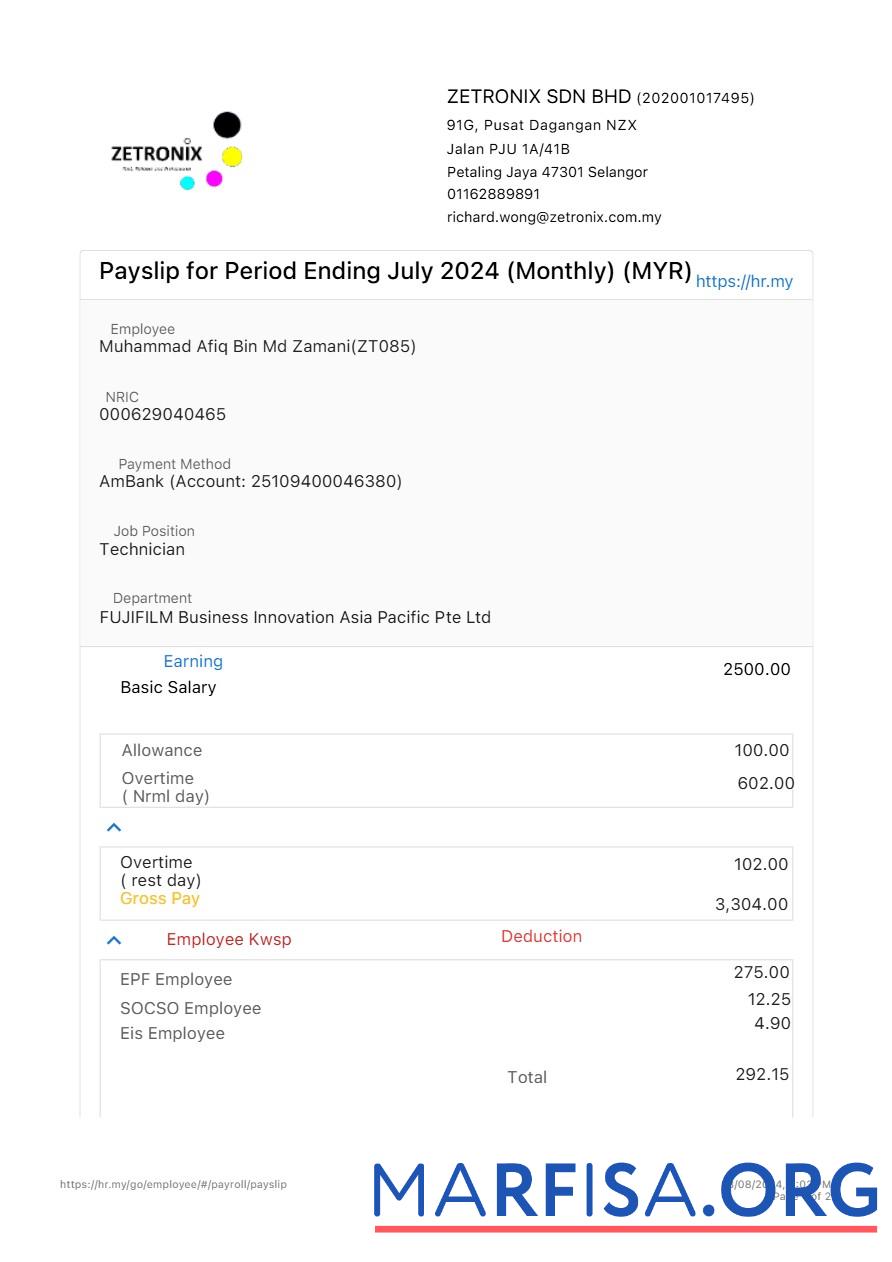 Zetronix payslip шаблон