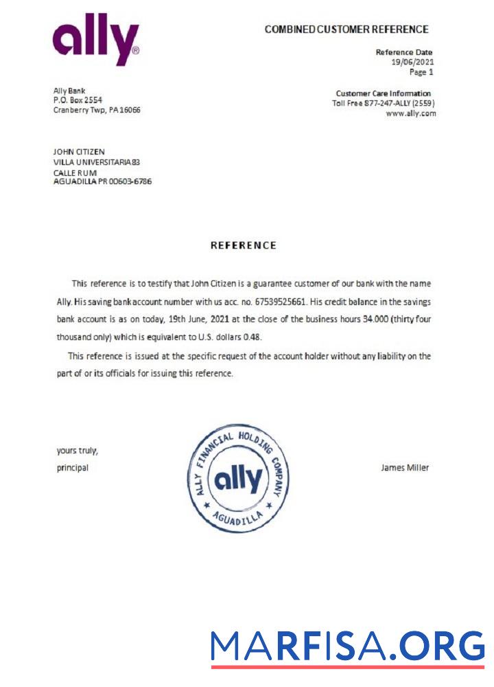 США Ally Справка дизайн