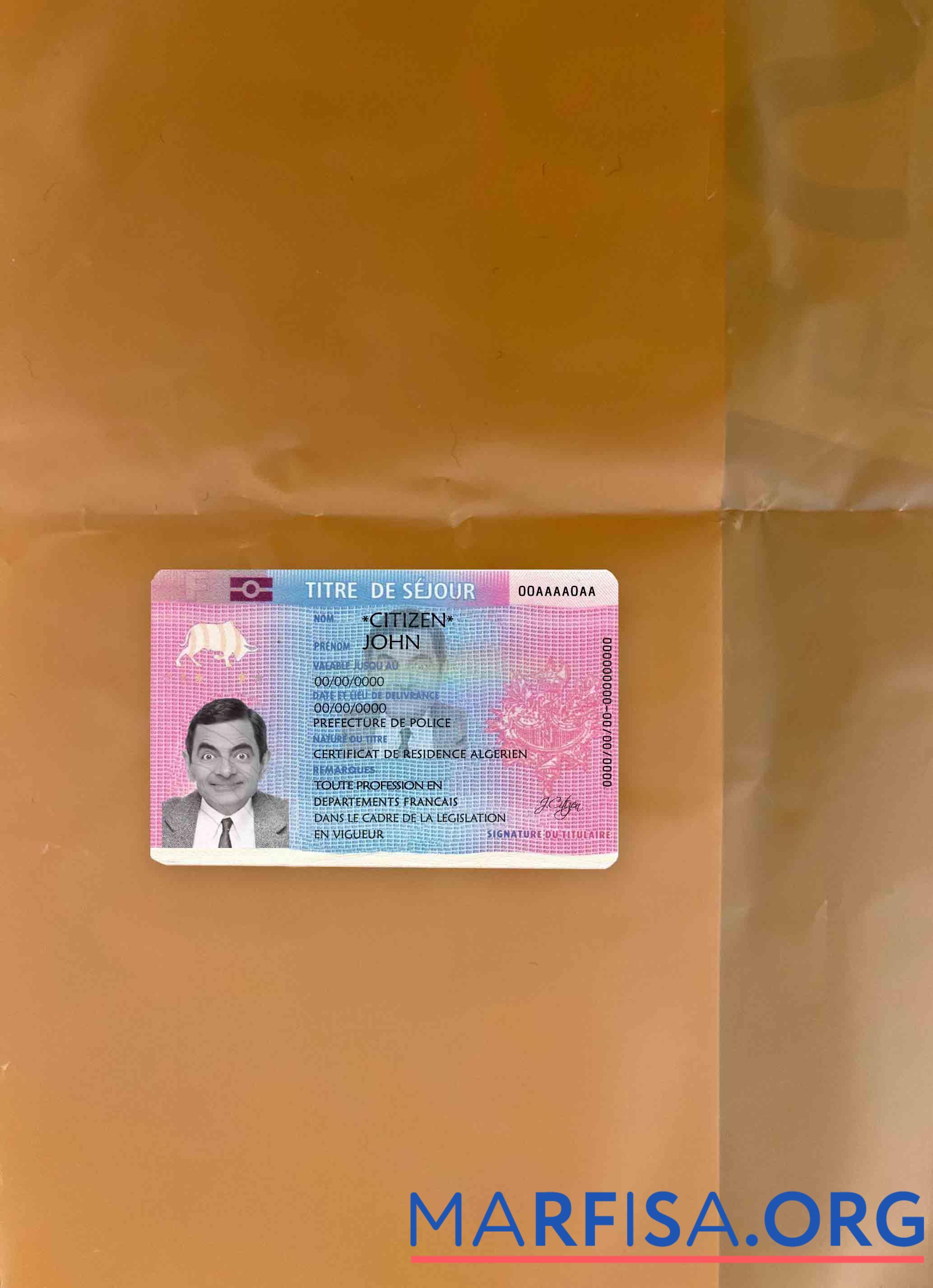 Франция Резиденция Разрешение (Titre de se╠üjour) фотообраз Лицевая сторона шаблон