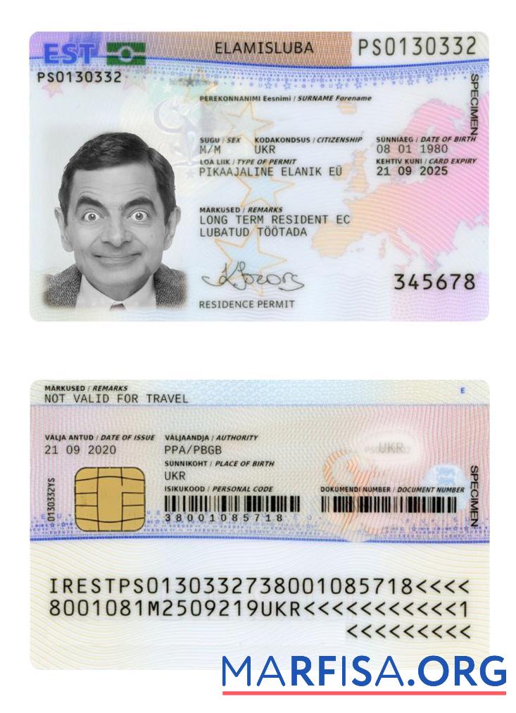 Estland Wohnsitz Genehmigung Karte, 2020 Gegenwärtig Mockup