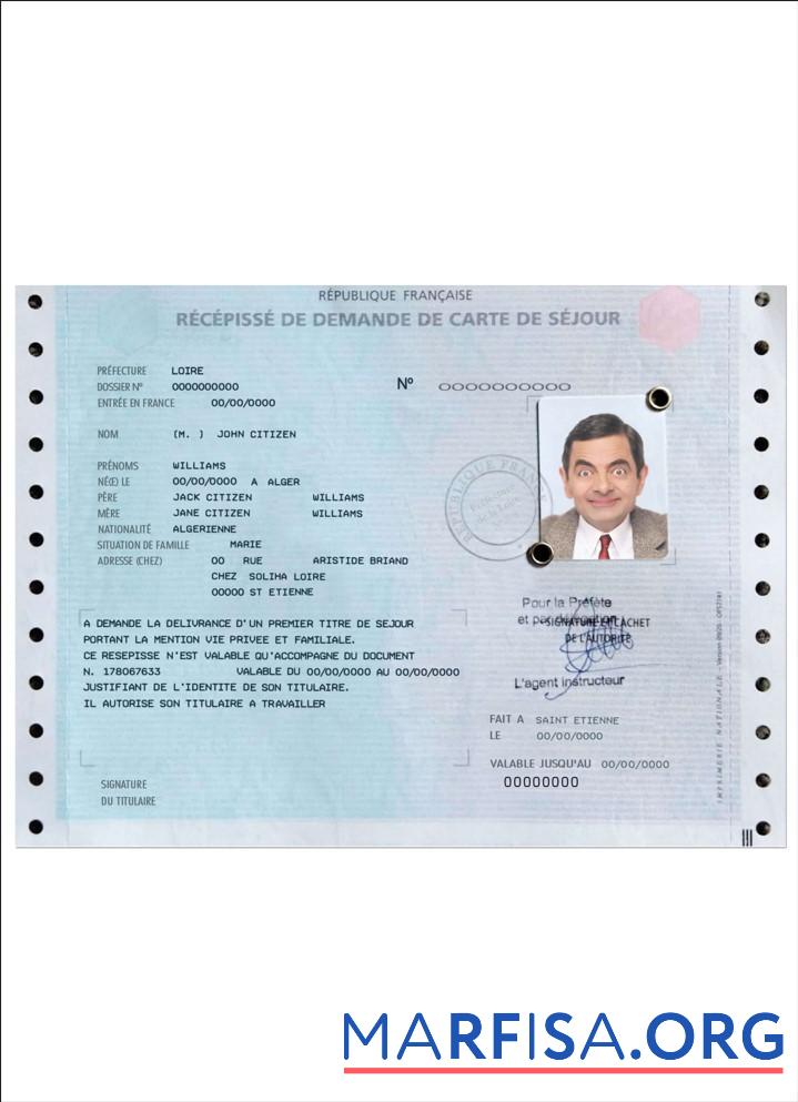 French Wohnsitz Genehmigung (carte de se╠üjour) Vorschau