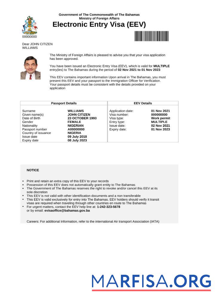 Bearbeitbar Bahamas e Visum in Word and PDF Vorlage