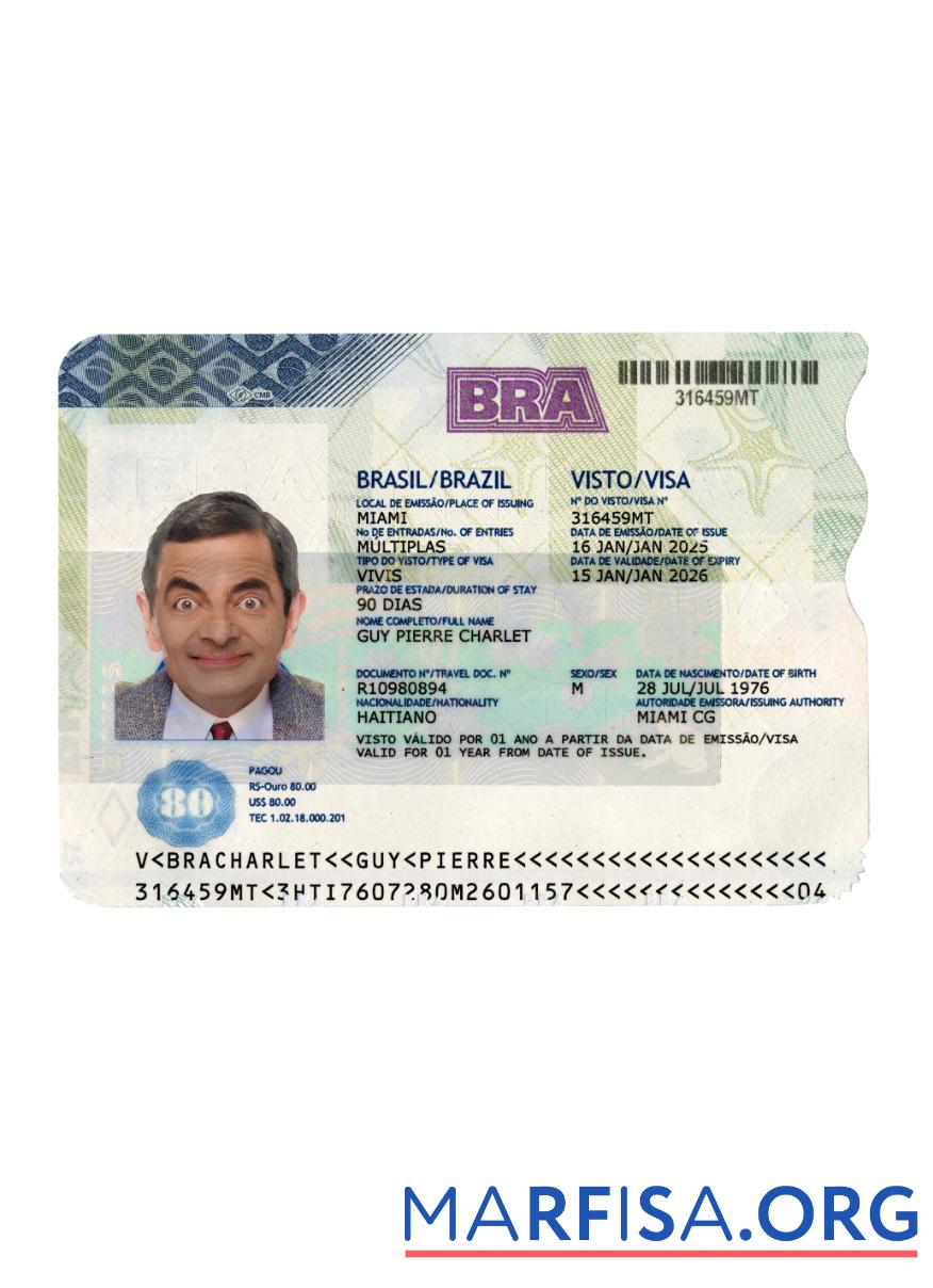 Brasilien Reise Visum 2025 Gegenwärtig Probe