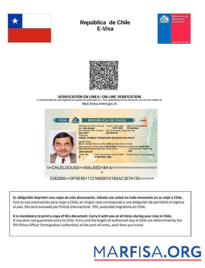 Realistisch Chile e Visum Vorlage in Word and PDF Formate