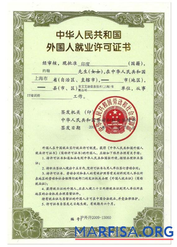 China Beschäftigung Genehmigung (Arbeit Visum) Mockup