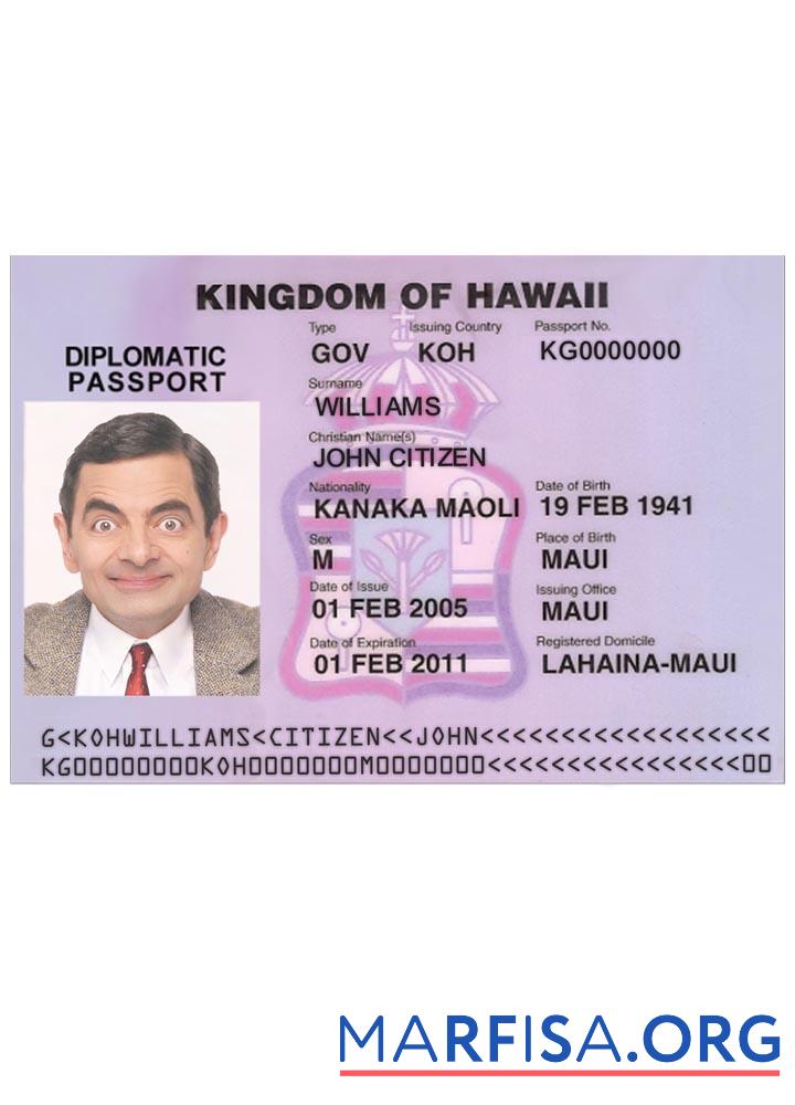 Hawaii Visum Design