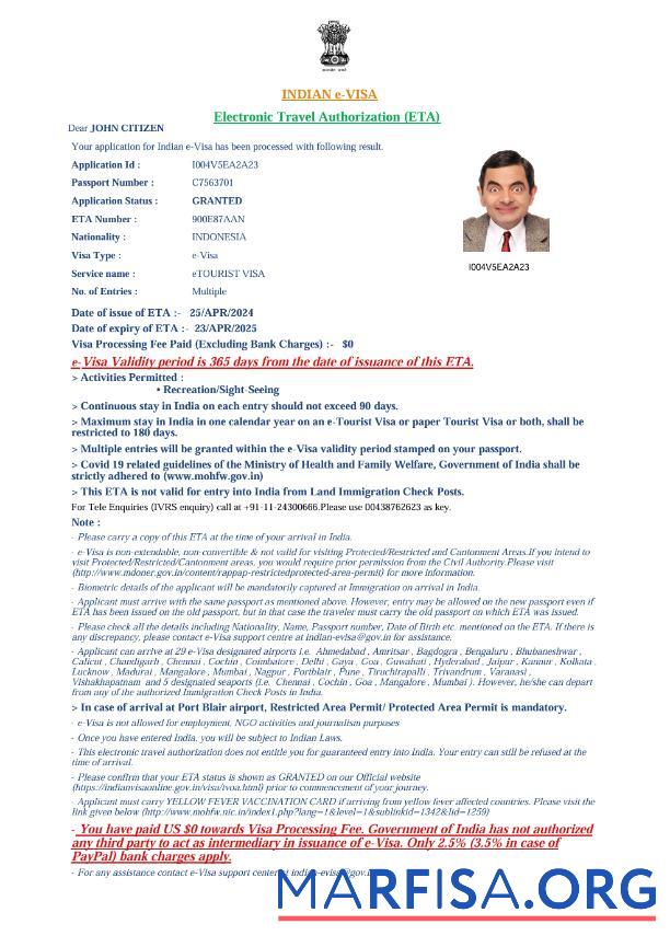 Professionell Indien e Visum Vorlage in Word and PDF Formate, Version 4