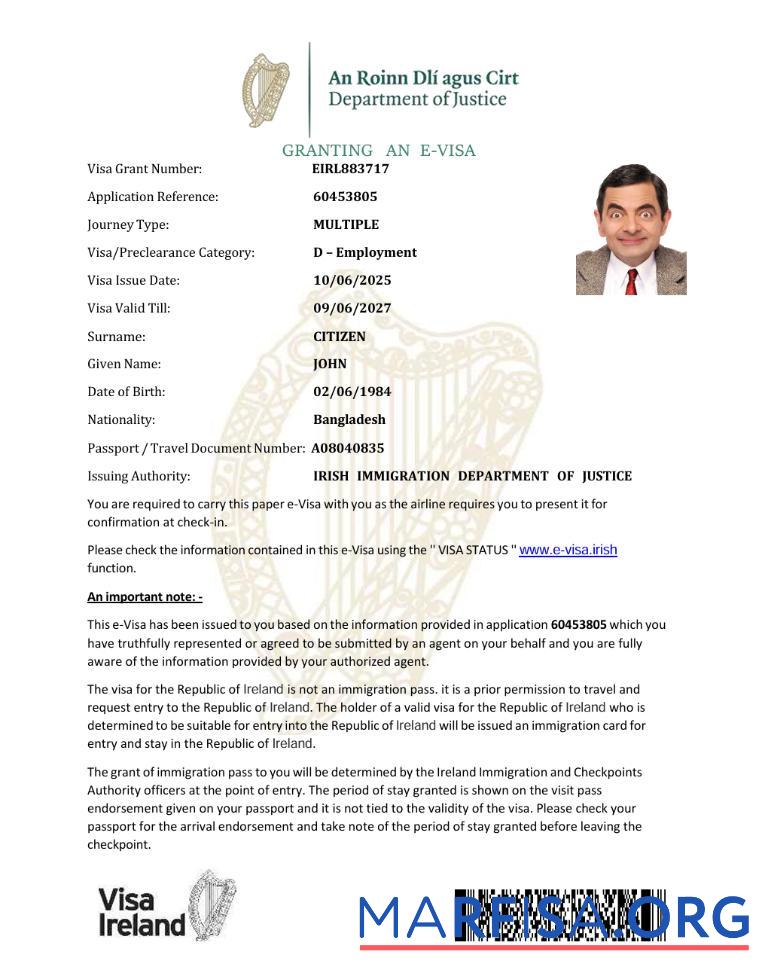 Professionell Irland e Visum Vorlage in Word and PDF Formate