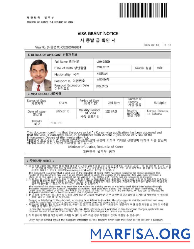 Bearbeitbar Korea e Visum Vorlage in Word and PDF Formate