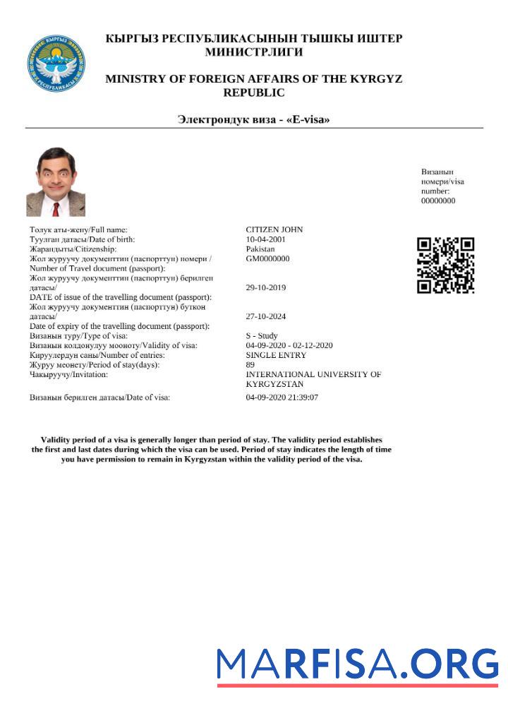 Realistisch Kirgisistan e Visum Word and PDF Vorlage